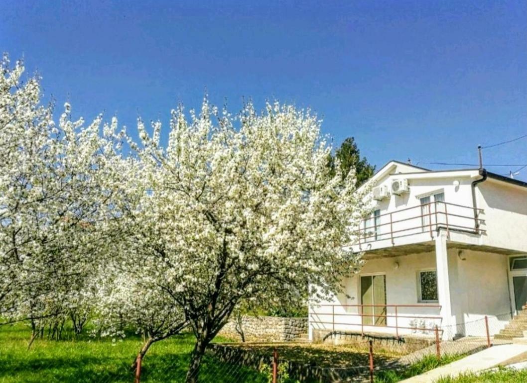 Apartments Pasha Blagaj Exterior foto